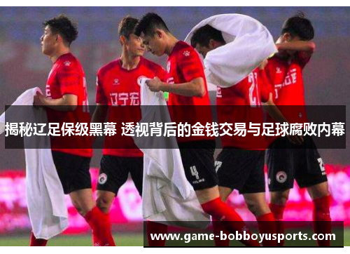 揭秘辽足保级黑幕 透视背后的金钱交易与足球腐败内幕