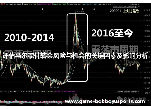 评估马尔穆什转会风险与机会的关键因素及影响分析