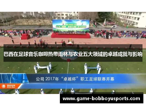 巴西在足球音乐咖啡热带雨林与农业五大领域的卓越成就与影响